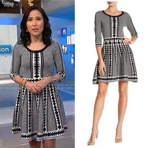 SALE🔥 NWT Nina Leonard Geometric Fit and Flare Sweater Dress on TV X-small